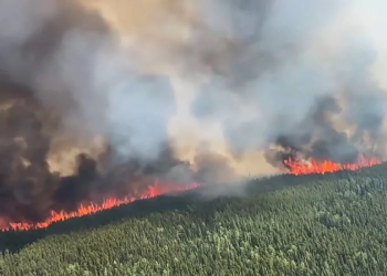 حريق الغابات في الأرجنتين يخرج عن السيطرة