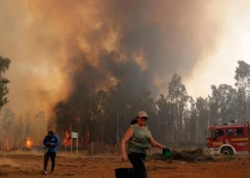 سقوط قتلى جراء حرائق الغابات في تشيلي